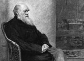Darwin 1880-ban (kép forrása: Mother Nature Network)