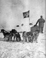 Amundsen expedíciójának egy tagja, Olav Bjaaland a szánhúzó kutyákkal a Déli-sarkon, 1911. (kép forrása: coolantarctica.com)