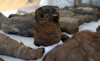 Mumifikált sólyomfej a szohági lelőhelyről (kép forrása: The Independent)
