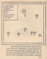 Brahe diagramja az általa felfedezett szupernóváról (kép forrása: All That's Interesting)