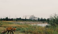A csernobili atomerőmű napjainkban, a nemrég felépült új szarkofággal (kép forrása: worldatlas.com)