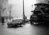 Birkák akadályozzák a forgalmat az Aldwych Streeten, 1928. (kép forrása: Rare Historical Photos)