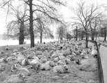 A Hyde Parkban, 1929. (kép forrása: Rare Historical Photos)