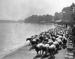 A Hyde Park-i Serpentine mellett, 1936. (kép forrása: Rare Historical Photos)
