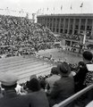1936, Olimpiai Úszóstadion, a műugrótoronnyal