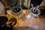 Hallgatók tisztítják a fémkeresővel talált leleteket 2017. december 16-án (Fotó: MTI Fotó: Sóki Tamás)