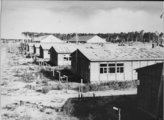 A stutthofi koncentrációs tábor látképe annak felszabadítása után (kép forrása: collections.ushmm.org)