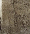A sír falán lévő reliefen Petubasztisz egy lótuszvirágot tart