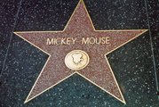 Mickey csillaga Hollywoodban (kép forrása: Pinterest)