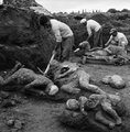 A Vezúvból kitörő 9 milliárd tonna vulkanikus anyag szétszóródott a Nápolyi-öböl területén, Pompejit 4 méteres törmelék temette be, a régészek 1150 áldozatot találtak meg, többüket konzerválta a vulkáni hamu.