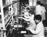 A Gyógyszerészi Kémiai Intézet (ma a Semmelweis Egyetem) hallgatói a Hőgyes Endre utcai laboratóriumban (1960)
