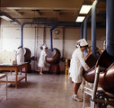 A gyógyszerek bevonását végzik a debreceni Biogal (ma Teva) Gyógyszergyár drazsírozó üzemében (1968)