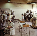 Tablettázógépek a debreceni Biogal (ma Teva) Gyógyszergyárban (1968)