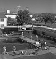 Reggeli fürdőzők a The Last Frontier nevű Las Vegas-i szálloda medencéje mellől szemlélnek egy atomrobbanást, 1953. május 8.