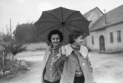 A Kertészeti és Szőlészeti Főiskola hallgatói nem véletlenül tudják, hogy az esőnek örülni kell (1962)