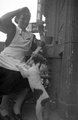 Kutyák rohannak le egy nőt a Teréz körút 18 I. emeleti erkélyén (1938)