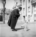 Idős úr eteti a kutyáját a budapesti Bakáts téren (1952)