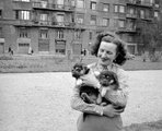 Egy hölgy kiskutyáival a Vérmezőn, háttérben az Attila út 133. (1959)