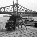 Házy Erzsébet operaénekes kutyájával a Bem rakparton (1960)