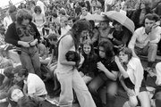 Kiskutya egy miskolci rockfesztiválon a DVTK-stadionban (1973)
