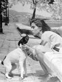 Egy hölgy simogatja a kutyáját a budai várban (1989)