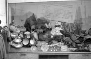 Az Állami Áruház „feketézőktől” lefoglalt áruval feltöltött kirakata a kőbányai Liget (egykori Zalka Máté) téren (1954) 