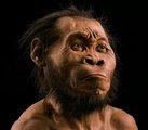 Így nézhetett ki a Homo naledi