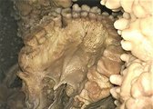 A pórul járt ősembernek halálakor két foga is hiányzott, és a többi sem volt a legjobb állapotban
