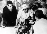 Brit tudósok vizsgálják Tutanhamon múmiáját halála okának megállapításához az 1960-as években.