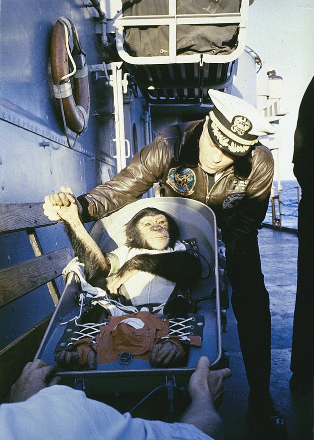 Az első űrcsimpánz a USS Donner fedélzetén, az űrugrást követően