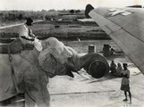 Elefánt adja fel a rakományt egy amerikai repülőgépre 1945-ben