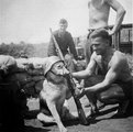 Német katona beöltöztetett kutyájával 1940-ben
