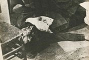 August Meyer holtteste