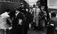 Az AP felvétele 1956 őszéről: magyar menekültek érkeznek Ausztriába