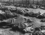 Halottak hevernek az észak-türingiai Mittelbau-Dora koncentrációs táborban 1945 áprilisában <br /><i>John Florea/Steven Kasher Gallery</i>