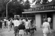 Az NDK-ból érkezettek egy része 1989 nyarán a csillebérci úttörőtáborban kapott szállást