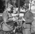 A postagalamb funkciója nem szűnt meg teljesen, még az I. világháborúban is használták őket – elsősorban titkos – üzenetek kézbesítésére  