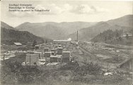 Az „Uzvölgyi” fűrészgyár a 20. század elején
