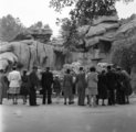 A sziklaegyüttes arculatot szabott az állatkertnek (1940, Kép forrása: Fortepan/ Góg Emese)