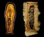 Tutanhamon feltételezett lányainak maradványai