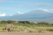 Afrika legmagasabb hegye, a Kilimandzsáró lábához 1887 júniusában érkeztek meg (wikipedia/Charles Asik/CC BY 2.0)