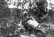 Az igazi madártávlat: a német „kémgalamb” egy előre időzített fényképezőgépet viselt a begye előtt, így az ellenséges vonalak fölé szállva baj nélkül készíthetett légifelvételeket