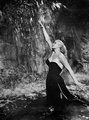 A színésznő Fellini Dolce Vita című filmjének leghíresebb jelenetében