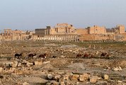 Palmüra romjai 2010-ben (kép forrása: Wikimedia Commons / Bernard Gagnon)