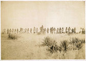 C. S. Fly képe Geronimo táboráról (1886)