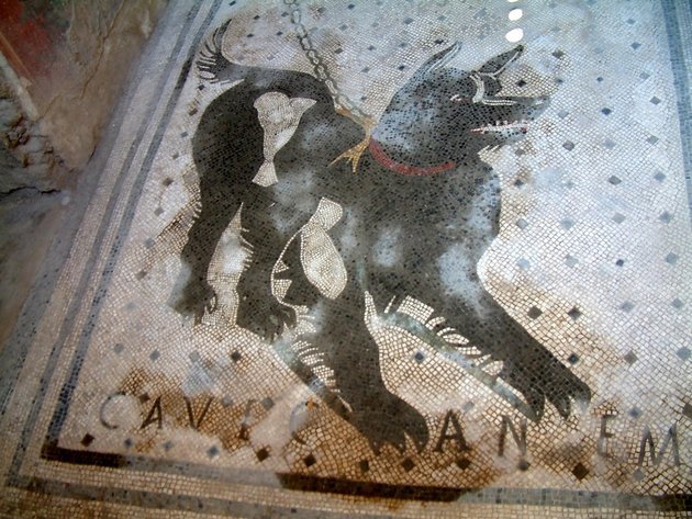 A híres, kutyára figyelmeztető padlómozaik