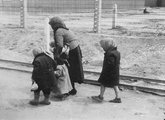 Magyar család az auschwitzi haláltáborban (1944)