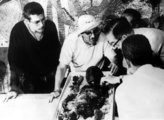 Brit tudósok vizsgálják Tutanhamon múmiáját halála okának megállapításához az 1960-as években.