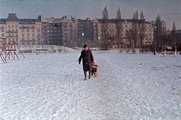 Park a Feneketlen-tónál, háttérben a Fadrusz utca épületei (1962)