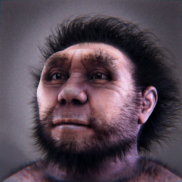 Egy Homo erectus (a kép csak illusztráció, forrása: Wikimedia Commons / Cicero Moraes / CC BY-SA 4.0)